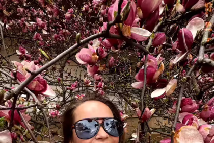 Аліна Ляшук