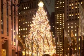 Darisha (Даріна Красновецька)