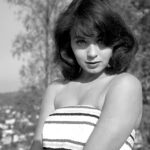 Керол Морріс