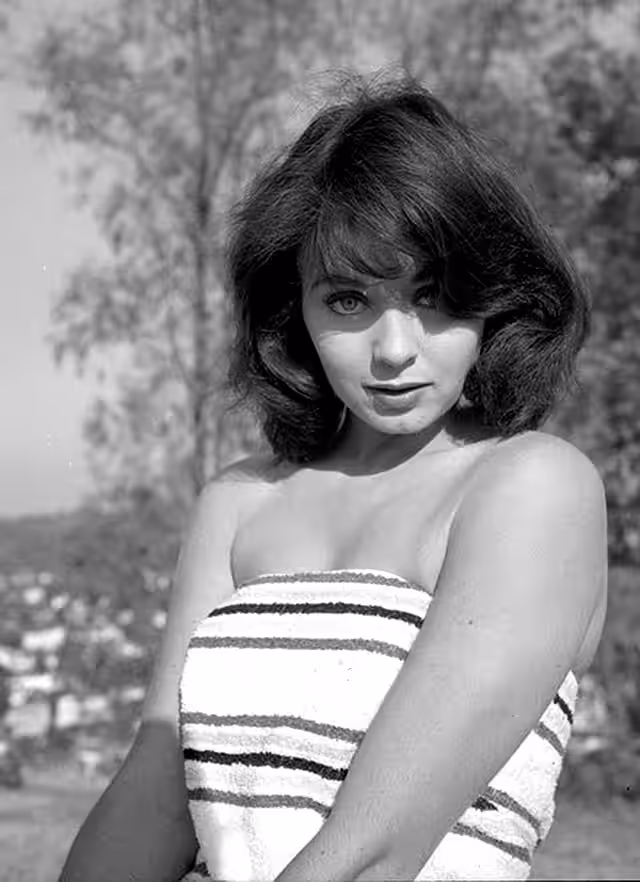 Керол Морріс