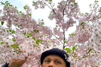 Сергій Стоун