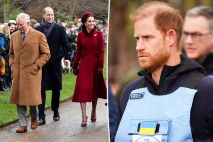 Принц Гаррі в Україні HALO Trust відповів про статус working royal