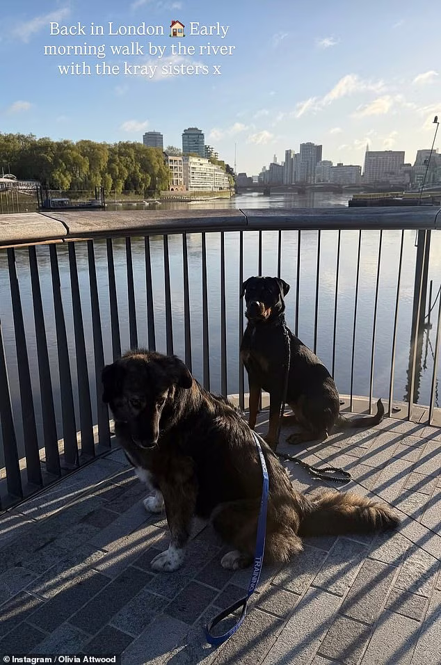 Олівія Еттвуд та Піт Вікс у барі — початок роману