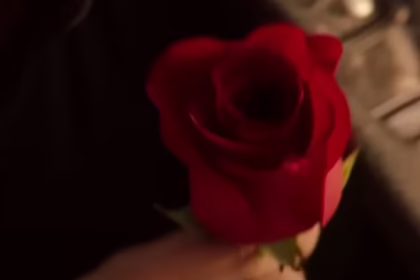 Холостяк 15 сезон новий головний герой шоу на СТБ